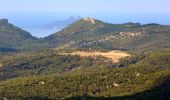 Excursión Senderismo La Cadière-d'Azur - La Peyguiere - Revers de Bocquié - Le télégraphe - La barbarie - Photo 8