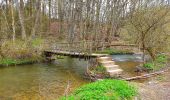 Excursión Senderismo Gedinne - Balade de Bourseigne-Vieille à Vencimont - Photo 8