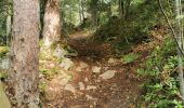 Trail Walking Ribeauvillé - boucle la grande verrerie-roche des 3 tables-roche des reptiles-roche des géants-la grande verrerie  - Photo 12