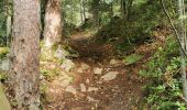 Excursión Senderismo Ribeauvillé - boucle la grande verrerie-roche des 3 tables-roche des reptiles-roche des géants-la grande verrerie  - Photo 12