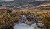 Tocht Te voet The Municipal District of Wicklow - Saint Kevin's Way - Photo 1