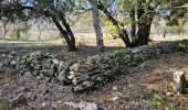 Tour Wandern La Roquebrussanne - Jas d'Agnis au départ de la Roquebrussanne par le vallon de Valescure - Photo 5