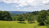 Randonnée Marche Belmont - Champ du feu - Col de la Charbonnière - Belmont  - Photo 4