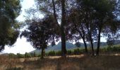 Trail Mountain bike Saint-Mathieu-de-Tréviers - tour Pic St Loup vtt - Photo 1