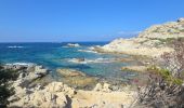 Randonnée Marche Santo-Pietro-di-Tenda - Le sentier côtier entre la plage de Seleccia et celle de Lotu - Photo 5