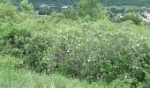 Tocht Stappen Blanzat - PLATEAU DE LA BADE - Photo 12