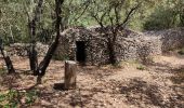 Excursión Senderismo Nages-et-Solorgues - Nages les capitelle - Photo 2