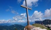 Randonnée Marche Entremont-le-Vieux - Croix de l Alpe Le Pinet  - Photo 13