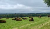 Tocht Stappen Lacapelle-Viescamp - Boucle du Marais Cassan Calvanhac - Photo 5