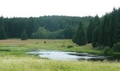 Trail On foot Lesná - [Z] naučná stezka historie sklářství - Photo 8