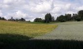 Tour Wandern Namen - Gelbressee - Photo 5