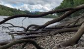 Tour Wandern Froidchapelle - Entre forêt et lac - Photo 2