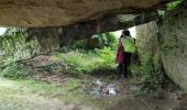 Excursión Senderismo Brissac-Loire-Aubance - St Rémy la Varenne - Gennes - Photo 2