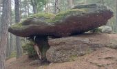 Trail Walking Orbey - col de wettstein la pierre tremblante - Photo 1