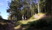 Trail Walking La Bresse - Lac des Corbeaux - Photo 4