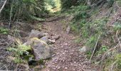 Trail Walking Taintrux - Marche 25-05-22 18Km Climont  - Photo 9