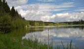 Excursión A pie Neustadt an der Orla - Naturlehrpfad Dreba - Plothen - Photo 5