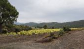 Excursión Senderismo Pierrefeu-du-Var - 2021-10-21 les hameaux de Pierrefeu - Photo 1