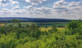 Excursión Senderismo Durbuy - Le sentier botanique du mont des Pins - Photo 10