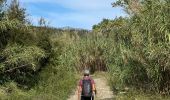 Trail Walking Rabós - Rabos effacer surplus…. - Photo 2