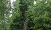 Trail On foot Sprimont - Sprimont Promenade n°5 - Photo 1