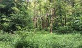 Trail Walking Seraing - bois de la vequée par les petits chemins (version courte) - Photo 2