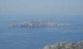 Tocht Stappen Marseille - PF-Les calanques - Le Mont Puget - Photo 9