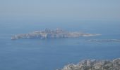 Tour Wandern Marseille - PF-Les calanques - Le Mont Puget - Photo 9