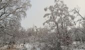 Trail Walking Spa - fagne de malchamp sous les premières neiges de 2025 - Photo 15