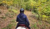 Trail Equestrian Charleville-sous-Bois - Wikiloc - Gondreville - Les secrets des bois - Photo 3