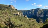 Excursión Senderismo Le Rozier - Gorges de la Jonte - Photo 1