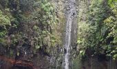 Trail Walking Arco da Calheta - Levada do 25 fontes - Photo 3