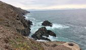 Excursión Senderismo Port-Vendres - anse des paulliles - cap bear via les vignes retour par le chemin côtier - Photo 15