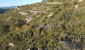 Percorso Marcia Clermont-l'Hérault - La Ramasse - Photo 2