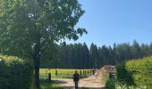 Trail Walking Paliseul - Maissin, pvl juillet 2025 - Photo 1