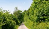 Tour Zu Fuß Höxter - Erlesene Natur - Zu Besuch im Paradies - Photo 4