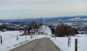 Tour Zu Fuß Lengnau - Wurzelweg - Photo 3