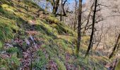 Tour Wandern Lapleau - viaduc rochers noirs - Photo 14