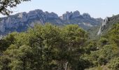 Tour Wandern Gigondas - gigondas - Photo 6