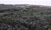 Randonnée Marche Le Vauclin - Petit grand Macabou par les mornes en boucle  - Photo 2