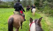 Trail Horseback riding Bastogne - Livarchamps - Surre (LU) 29 août 2021 - Photo 10