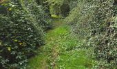 Tour Wandern Bueil-en-Touraine - Bueil-en-Touraine - Autour de la vallée du Long - Photo 18