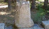 Tour Wandern Peyre en Aubrac - BOUCLE AU DEPART DE FAU DE PEYRE - Photo 16