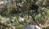 Trail Walking Caromb - Lac de Paty - Photo 3