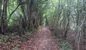 Tour Wandern Comblain-au-Pont - qwadrifyon autour d´Oneux  - Photo 3