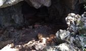 Percorso Marcia Vallon-Pont-d'Arc - Grottes du rocher de la Mathe - Photo 6