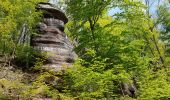 Trail Walking Saverne - Saverne : rocher Rappenfels - grotte St Vit - château Greifenstein - Photo 4