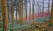 Trail Walking Marche-en-Famenne - Marche Adeps à Waha - Marche-en-Famenne - Photo 9