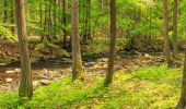 Percorso A piedi České Lhotice - [Z] Libáň - Křižanovická přehrada - Photo 6