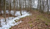 Percorso A piedi Gomadingen - Traufgang Hossinger Leiter - Photo 7